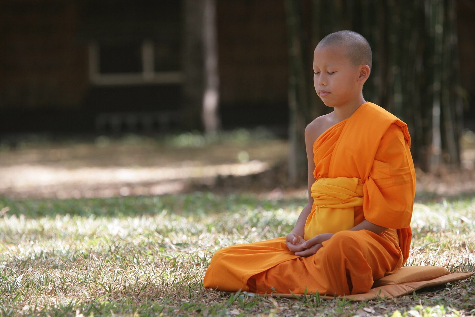 Yoga och meditation i Chiang Mai — retreat eller drop-in