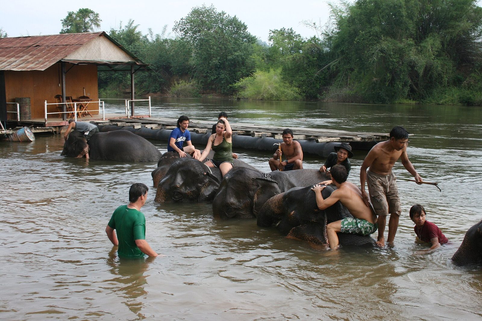Elefantupplevelser i Chiang Mai — så väljer du etiskt