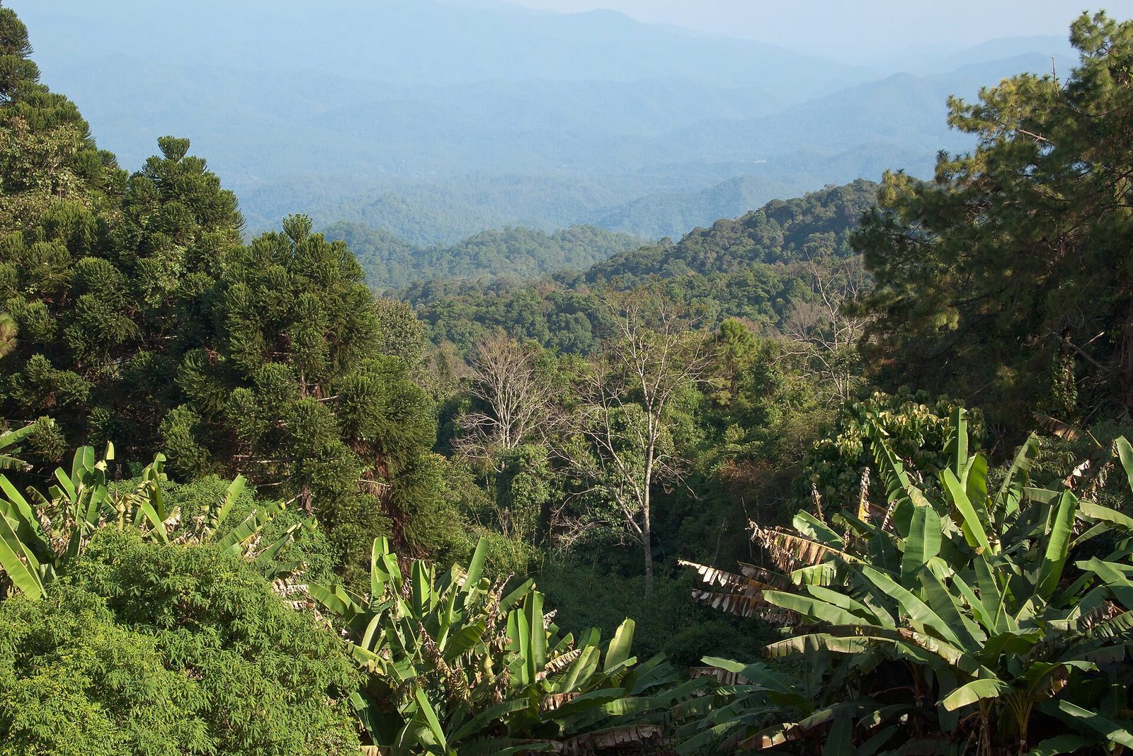 Doi Suthep–Pui nationalpark — mer än bara templet