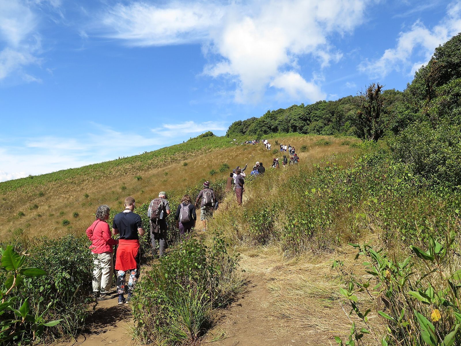 Vandring och trekking